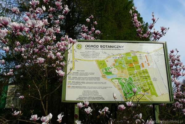 Ogród botaniczny PAN w Powsinie.