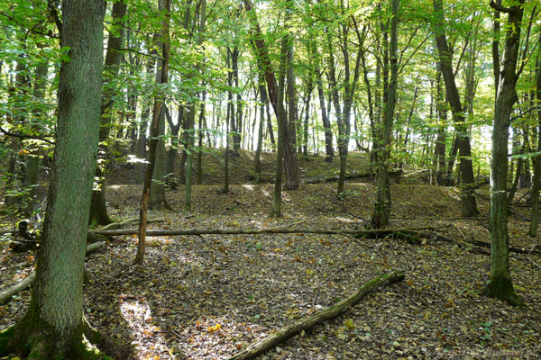 Wczesnośredniowieczne grodzisko - pozostałości fos.