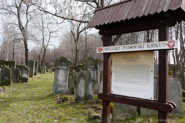 Cmentarz żydowski w Szydłowcu