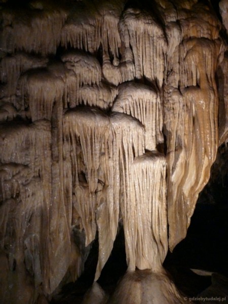 Jaskinia Niedźwiedzia, Kletno.