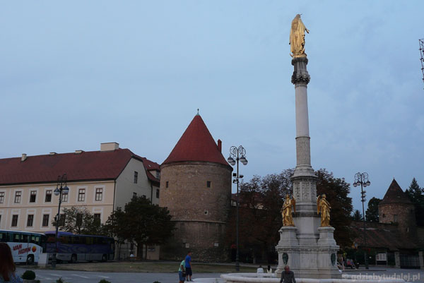 Kolumna Maryjna (XIX w) i pozostałości murów katedry.