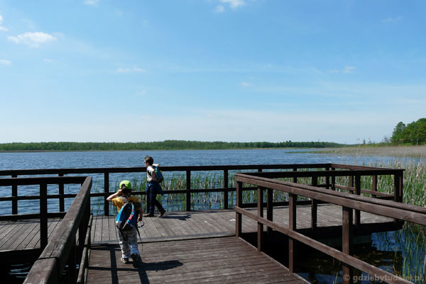Pomost widokowy nad Jeziorem Łukie.