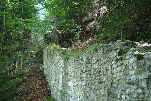 Ruiny zamku pienińskiego (XIII w.).