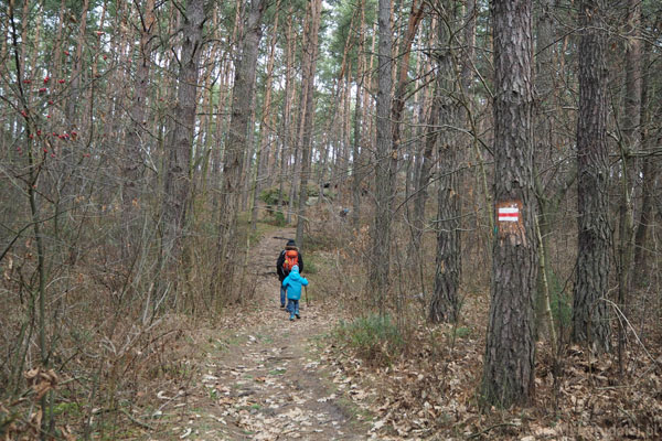 Rezerwat Skały w Krynkach. Do skał prowadzi czerwony szlak.