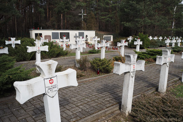 Na cmentarzu jest pochowanych 54 żołnierzy AK, zmarłych w 1944 r.
