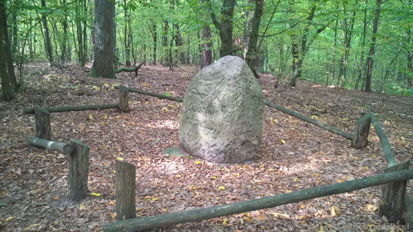 Kamień upamiętniający prof. Witolda Plapisa w uroczysku 'Na miny'.