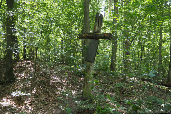 Zagubiony w Puszczy grób polskiego żołnierza z okresu II wojny światowej