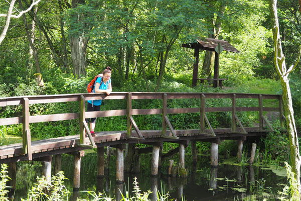 Na drugą stronę Kanału Łasica przeprowadza uroczy drewniany mostek.