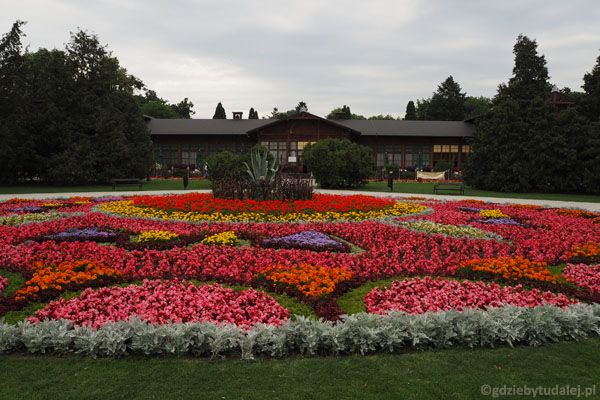 Park Zdrojowy w Ciechocinku tonie w kwiatach.