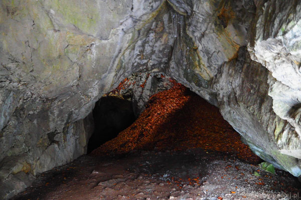 Jaskinia jest zasłana bukowymi liśćmi, wpadającymi tu przez tytułową Dziurę.