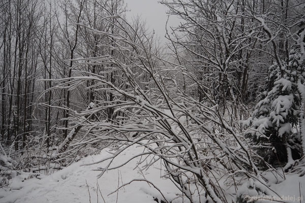 Piękna zima w okolicach Czerwonej Przełęczy.